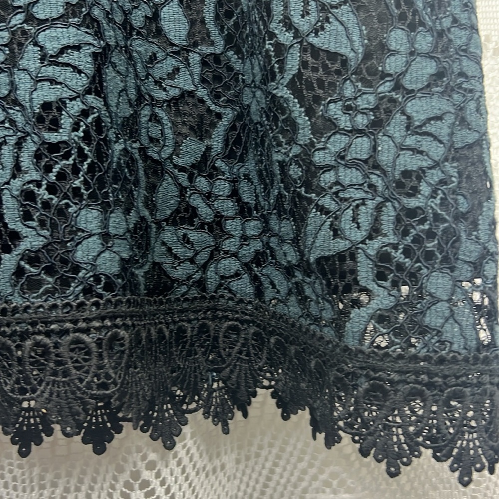 Zara lace dress midi bodycon navy blue sleeveless fitted black label  Sz. L - Picture 4 of 15